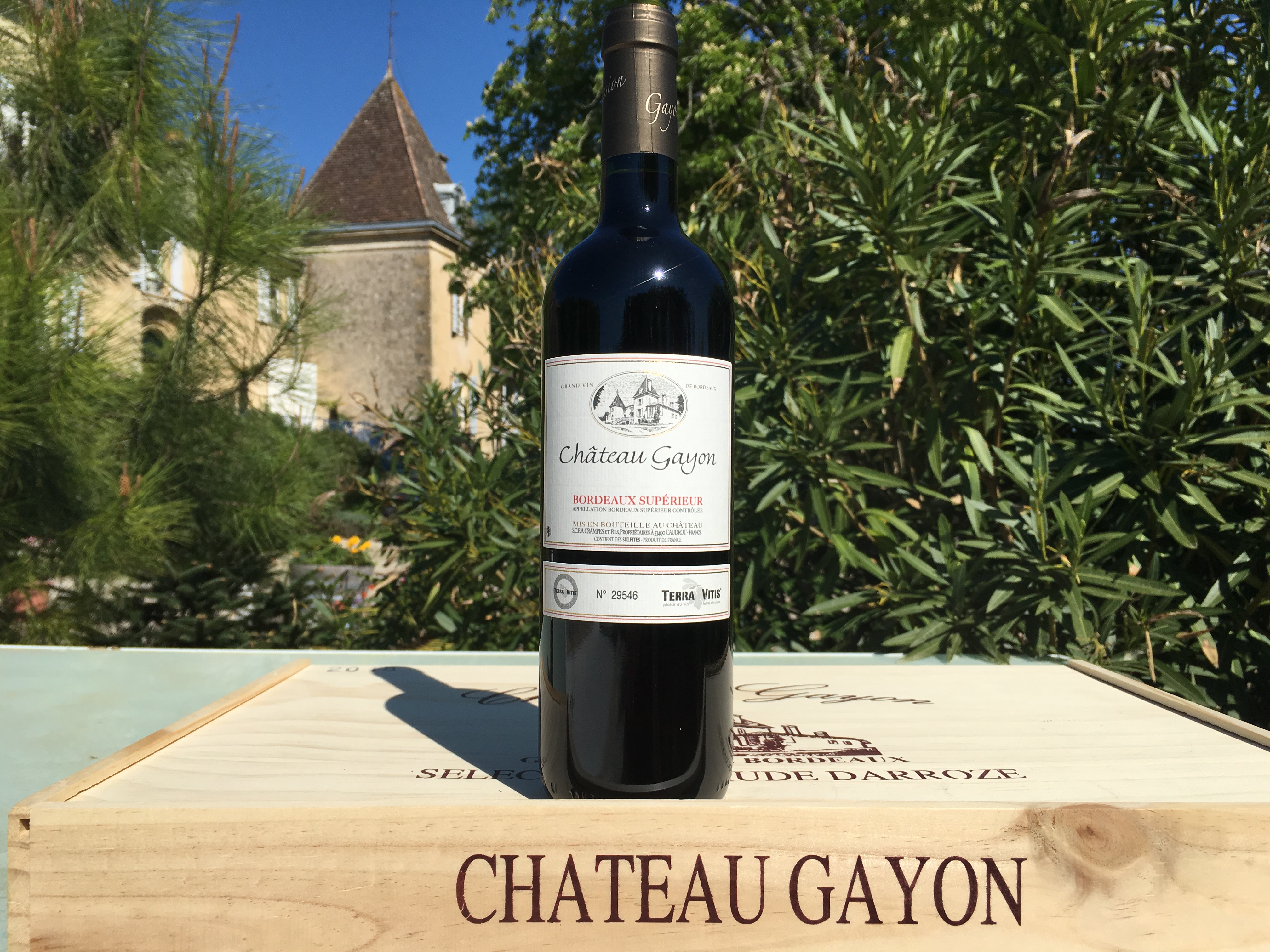 Grands vins de Bordeaux : sélection guide des vins hachette